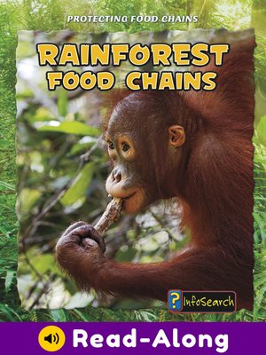 cover image of Rain Forest Food Chains